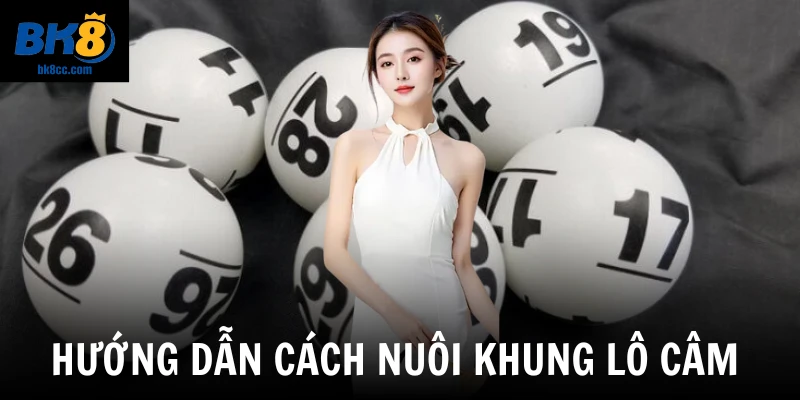 Hướng dẫn cách nuôi khung lô câm